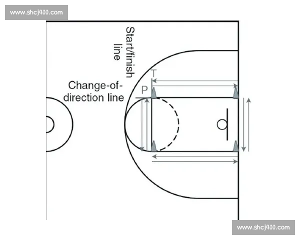 标准比赛篮球尺寸详解与选择技巧全方位指南