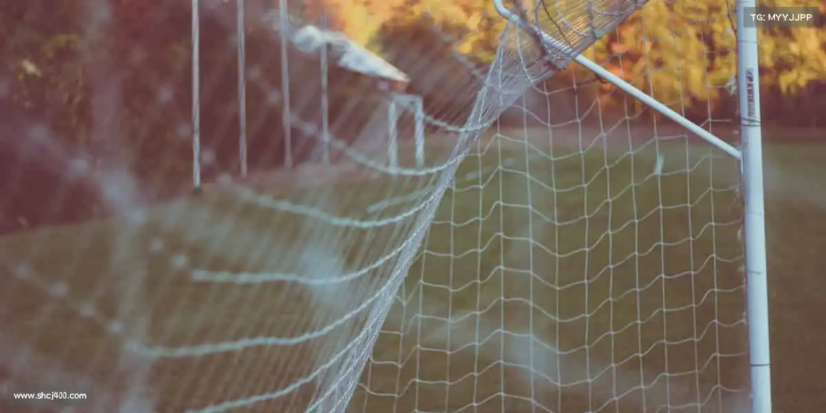 <strong>PG国际</strong>🥊燃烧卡路里，释放生命力 —— 加入我们，动出美好人生！